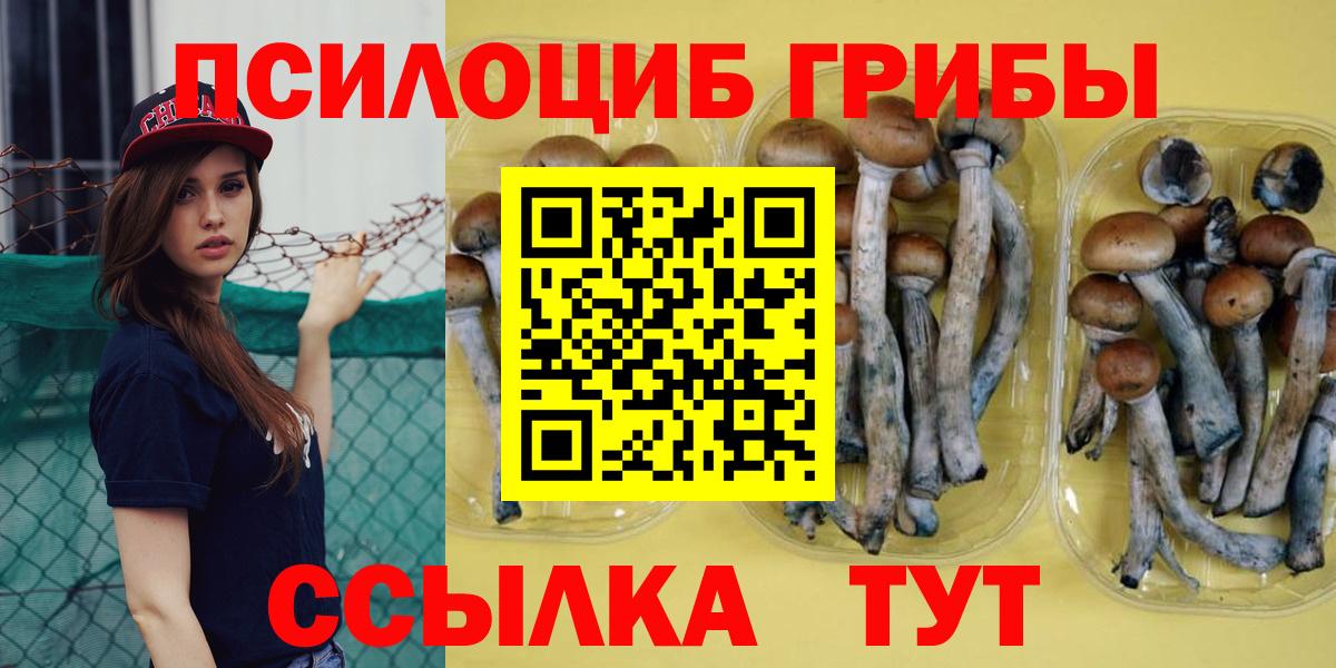 Ноябрьск  Галлюциногенные грибы GOLDEN TEACHER  Вход с VPN 