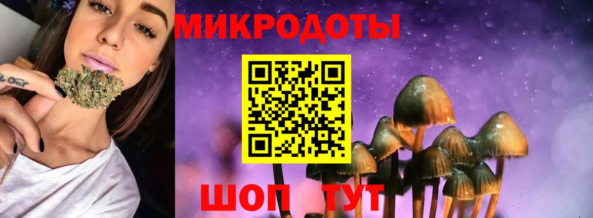 Псилоцибиновые грибы Psilocybe Ноябрьск